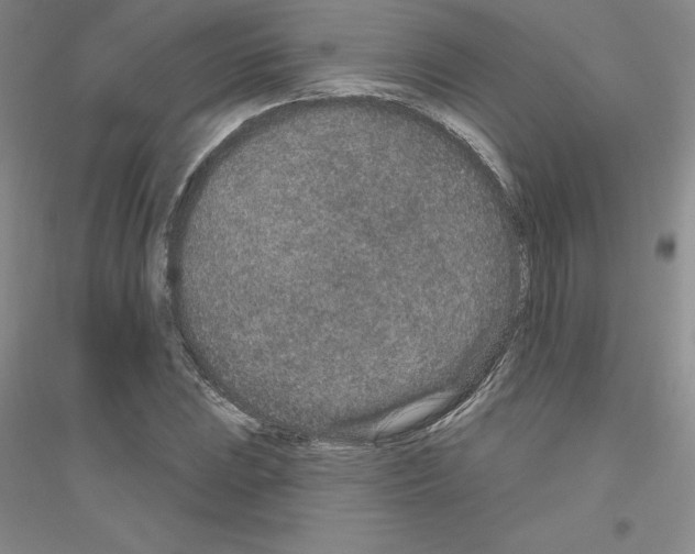 X0000116771023201001281628