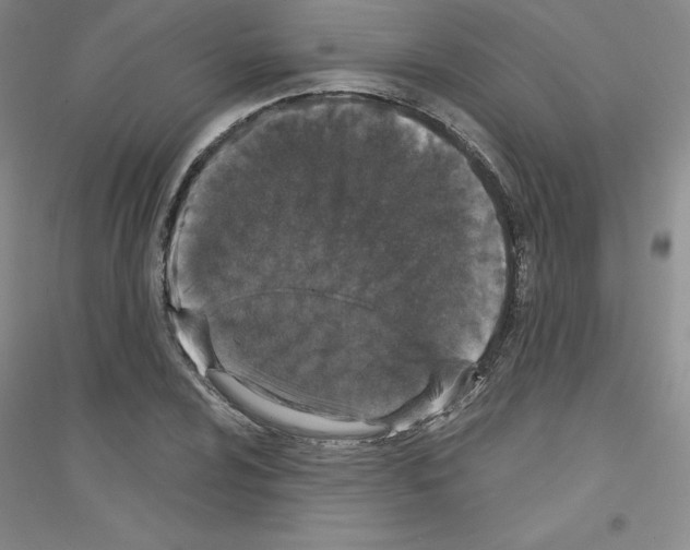 X0000116771024201001281628