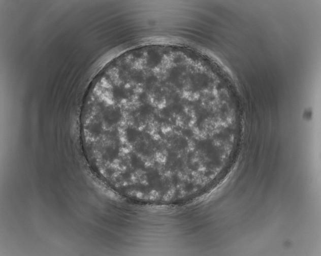 X0000116771025201001281628