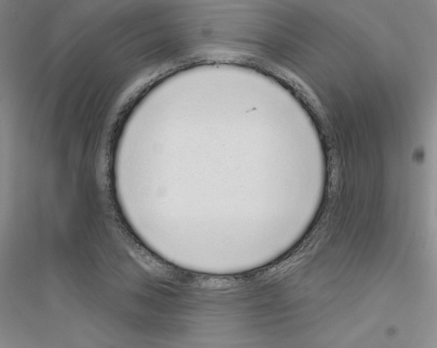 X0000116771027201001281628