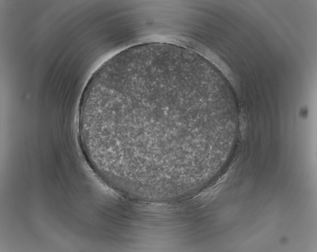 X0000116771028201001281628