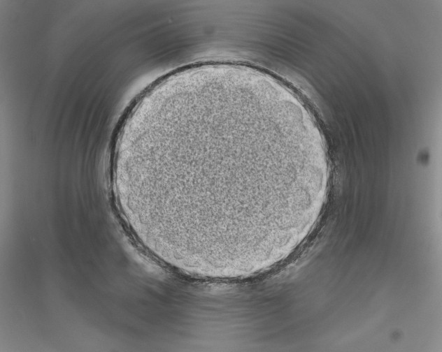 X0000116771030201001281628