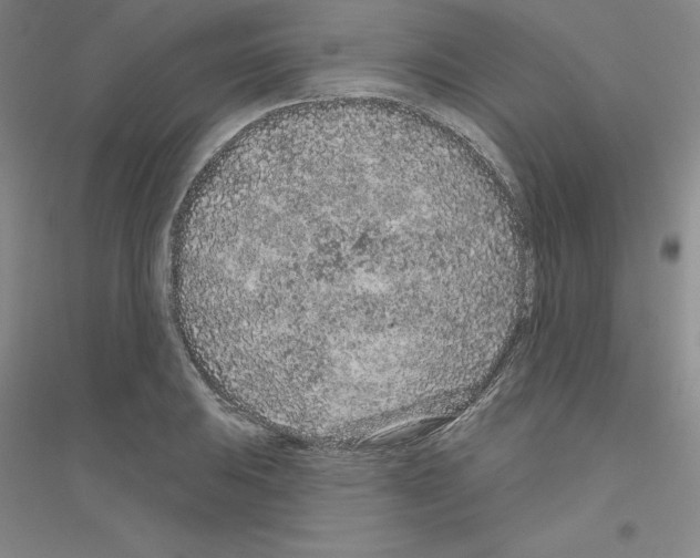 X0000116771031201001281628