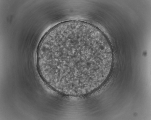 X0000116771032201001281628