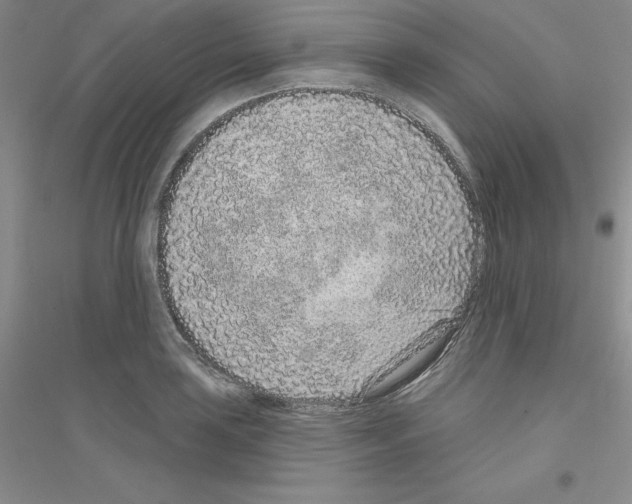 X0000116771035201001281628