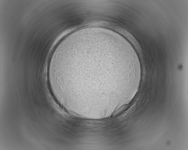X0000116771036201001281628