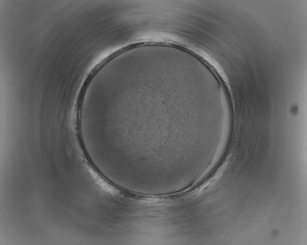 X0000116771037201001281628