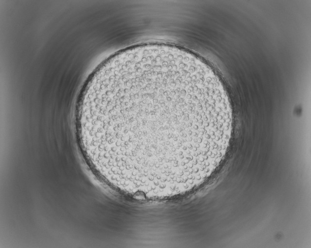 X0000116771038201001281628