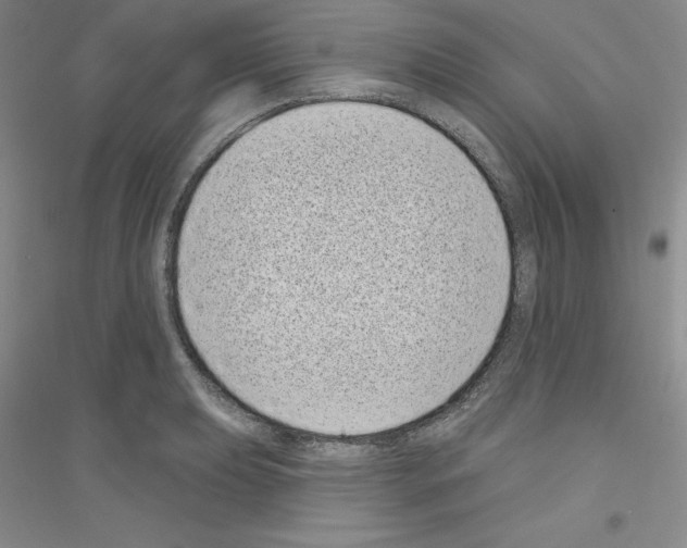 X0000116771039201001281628