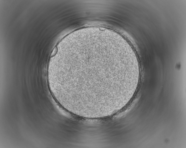 X0000116771041201001281628