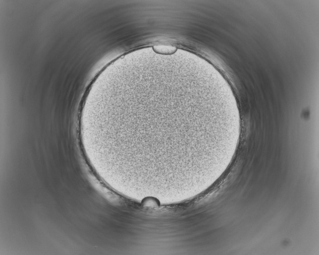 X0000116771042201001281628