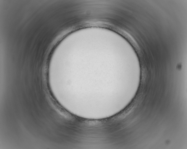 X0000116771043201001281628