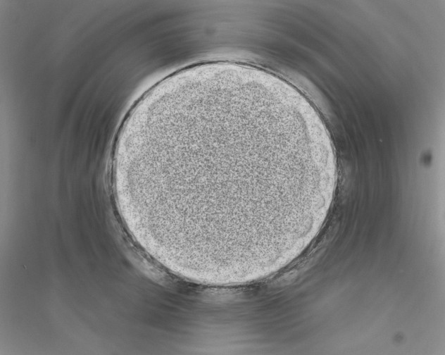X0000116771044201001281628