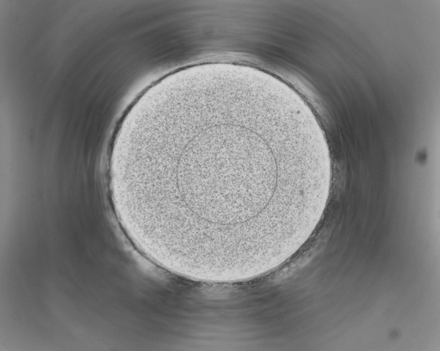 X0000116771046201001281629