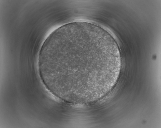 X0000116771048201001281629