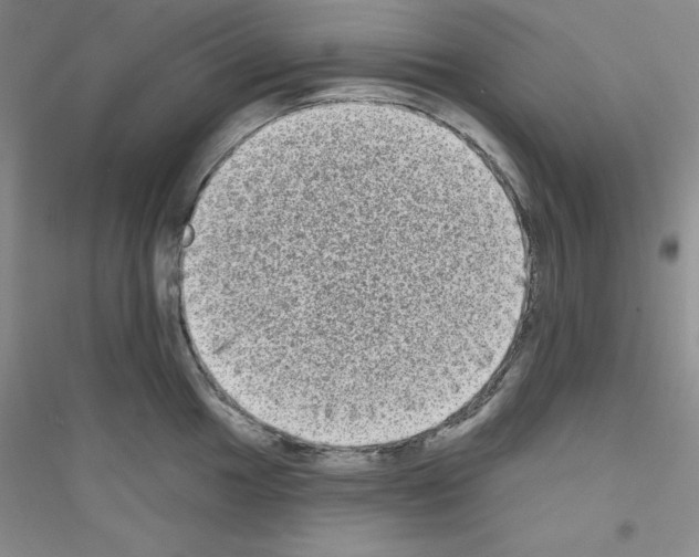 X0000116771049201001281629