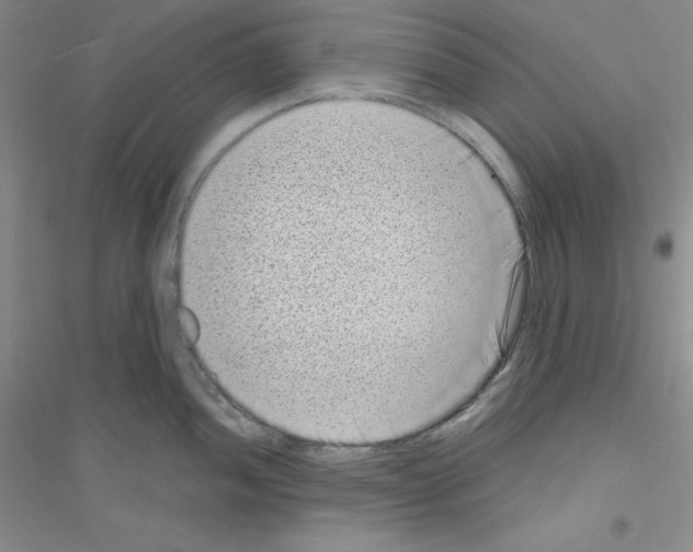 X0000116771052201001281629