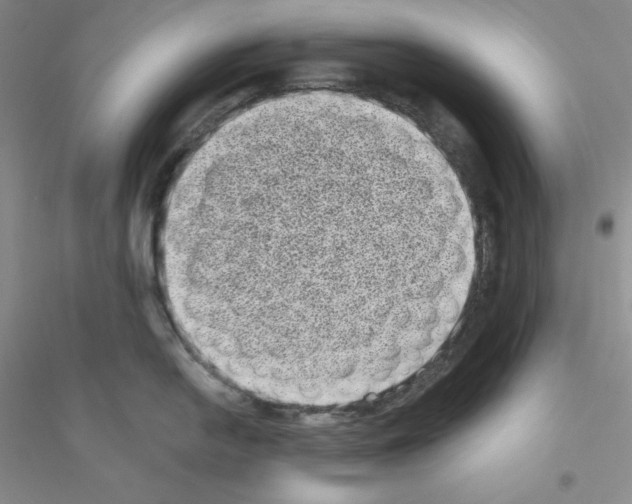 X0000116771054201001281629