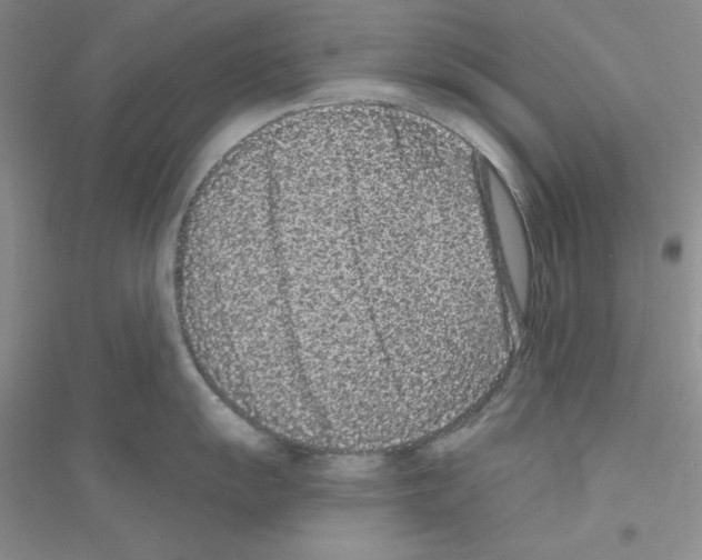 X0000116771055201001281629