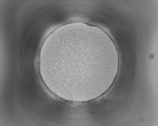 X0000116771056201001281629