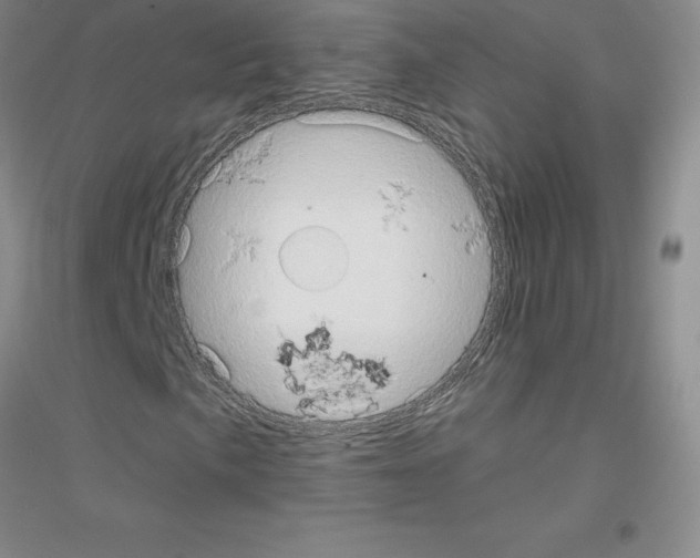 X0000116771057201001281628