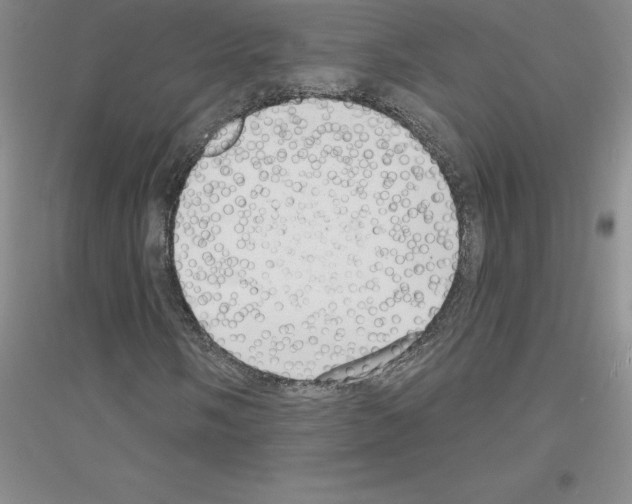 X0000116771058201001281628