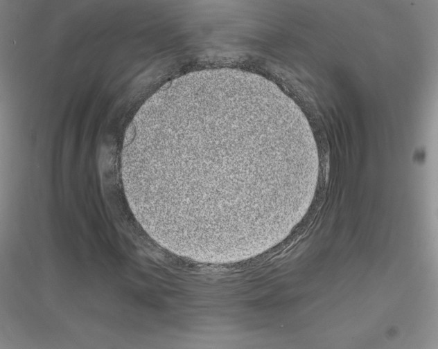 X0000116771059201001281628