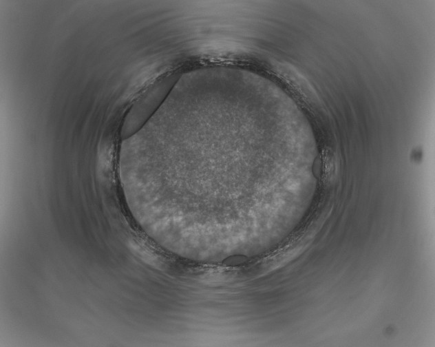 X0000116771060201001281628