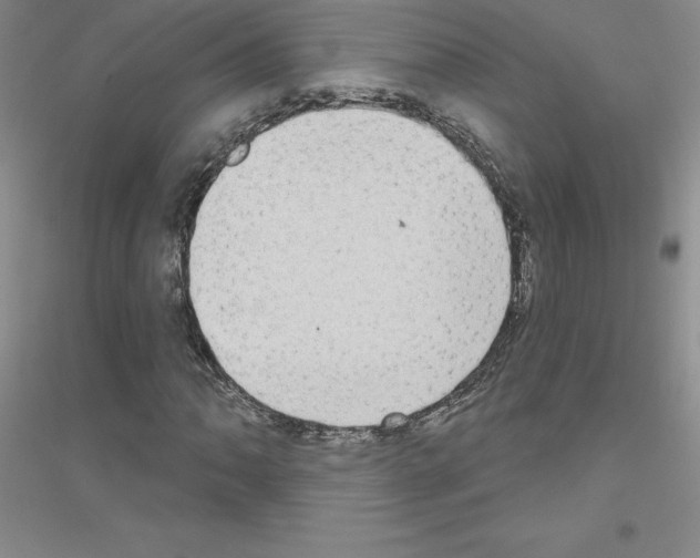 X0000116771062201001281628