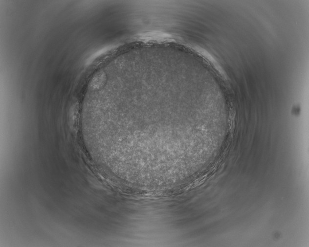 X0000116771063201001281628