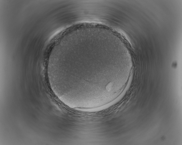 X0000116771064201001281628