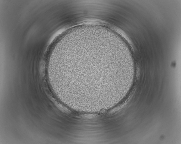 X0000116771067201001281628
