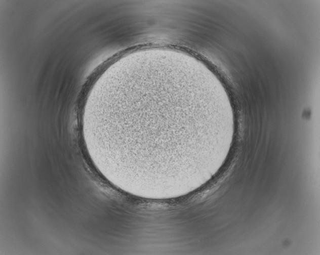 X0000116771070201001281628