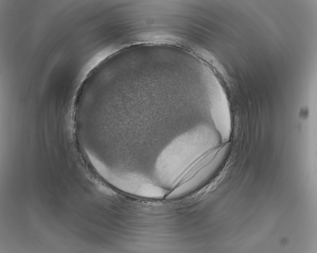 X0000116771071201001281628