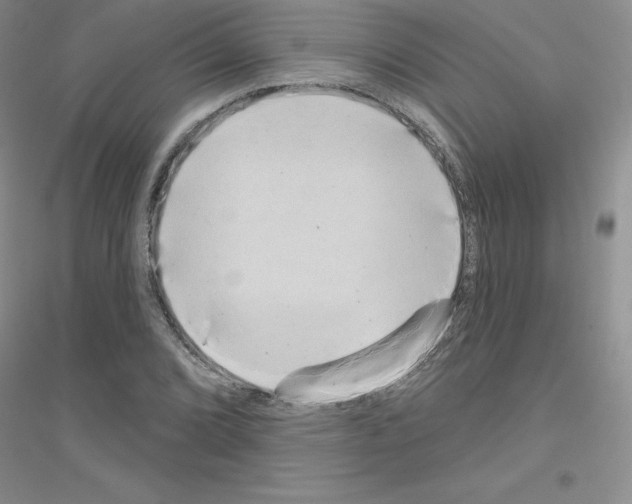X0000116771072201001281628