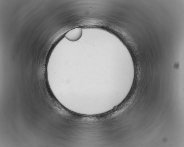X0000116771073201001281628