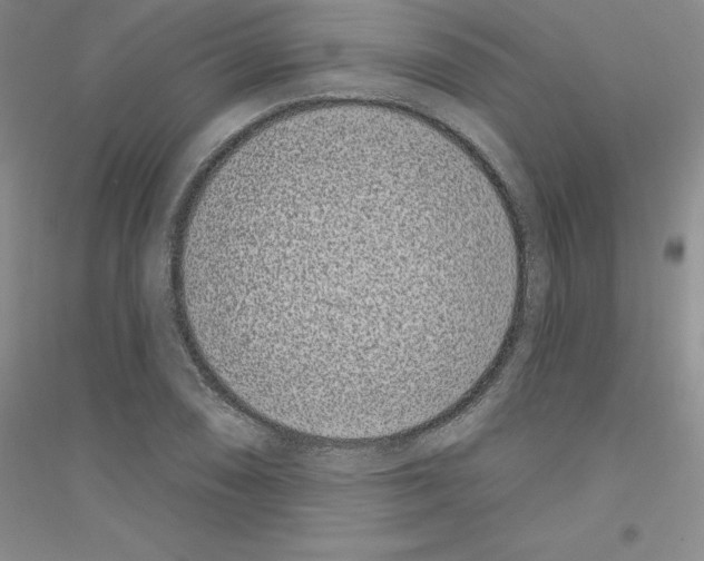 X0000116771074201001281628