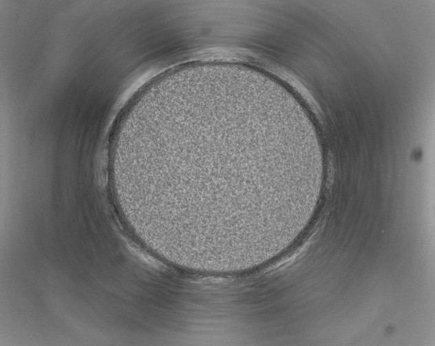 X0000116771075201001281628