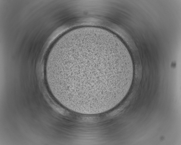 X0000116771078201001281628