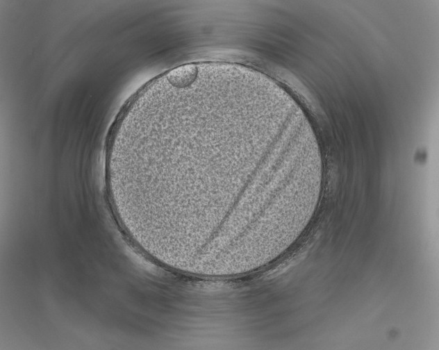 X0000116771079201001281628