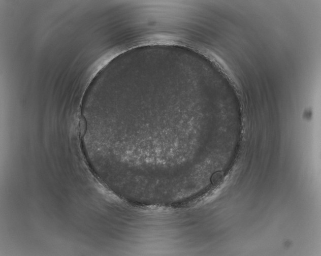 X0000116771081201001281628