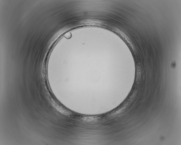 X0000116771082201001281628