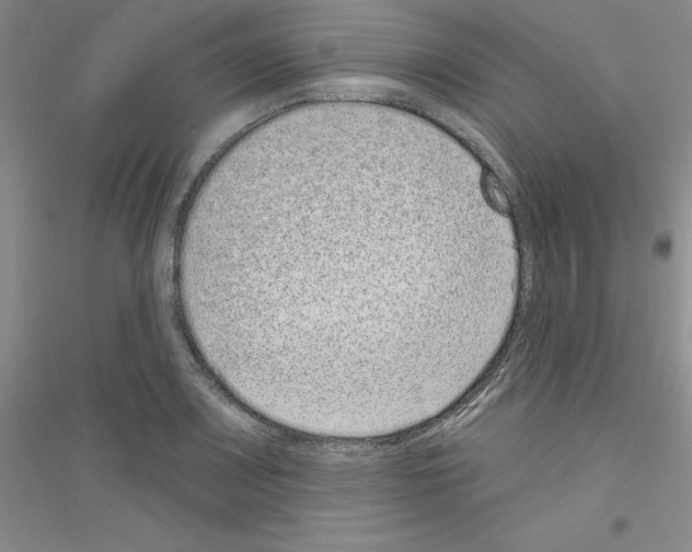 X0000116771083201001281628