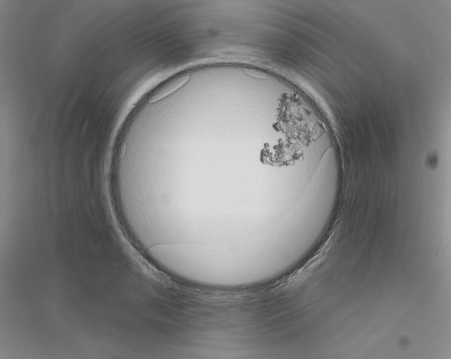 X0000116771085201001281628