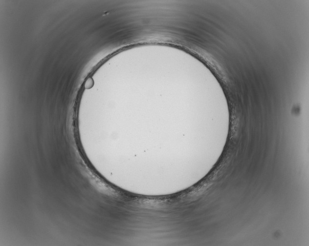 X0000116771086201001281628