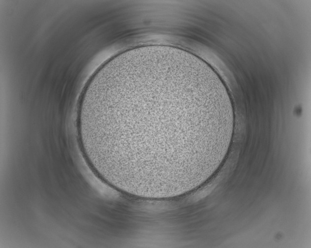 X0000116771090201001281628