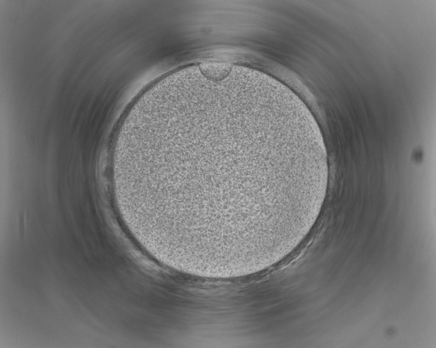 X0000116771091201001281628