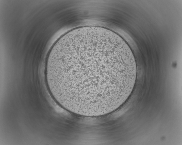 X0000116771094201001281627