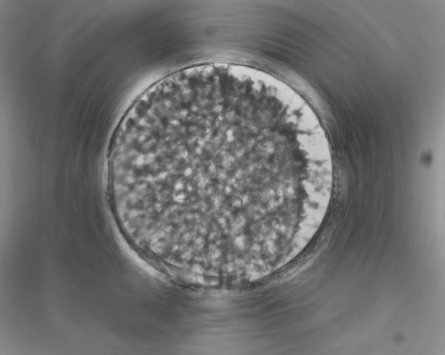 X0000116771095201001281627