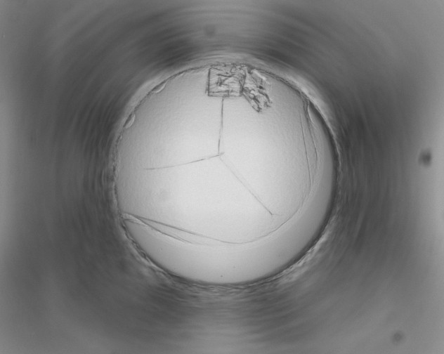 X0000116771097201001281627